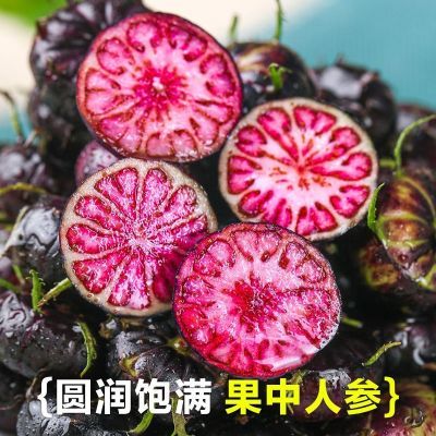 云南当季红果参算盘果早熟晚熟大果当年四季蜘蛛果水果