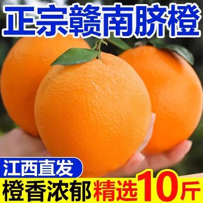 新鲜现摘江西赣南脐橙应季水果超大果江西橙子5斤10斤榨汁批发