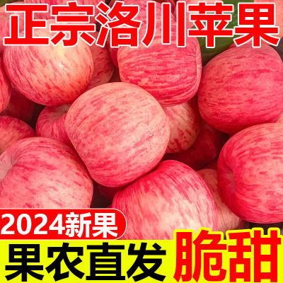 正宗陕西洛川红富士苹果脆甜当季新鲜苹果水果孕妇冰糖苹果一整箱