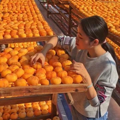 正宗农家新鲜柿饼天然流心降霜圆柿吊柿子饼批发包邮