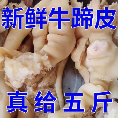 【抢1O斤】新鲜牛蹄皮剔筋脱骨牛蹄清真去骨牛脚牛筋牛蹄筋牛蹄