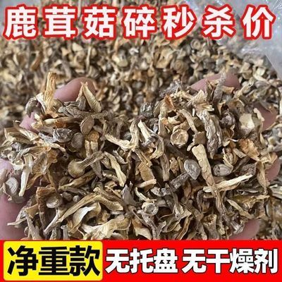 【无干燥剂净重】特级鹿茸菇碎片500g无硫包子饺子馅料鹿茸菌