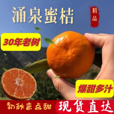 正宗临海高山涌泉蜜桔新鲜水果直发孕妇无打蜡宫川薄皮无核无渣橘