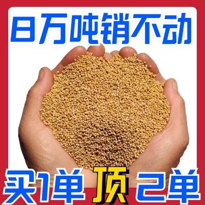 白菜价】新鲜黄谷子虎皮玄凤牡丹粮食中小型鹦鹉饲料鸟粮带壳小米