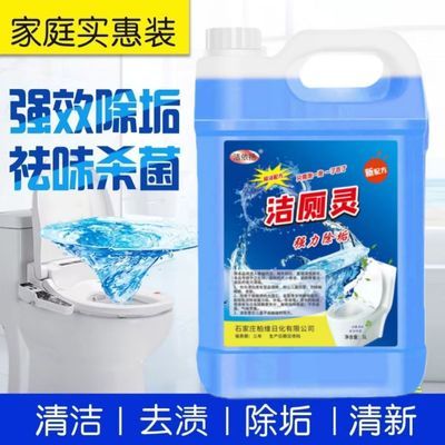 强力家用去污清香除臭除垢大桶10斤卫生间厕液厕所马桶瓷砖清洁剂优惠券