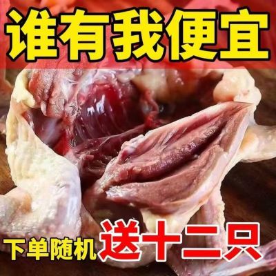 宰杀新鲜西装鸡批发农家散养孕妇滋补术后滋补新鲜煲汤商用整只鸡