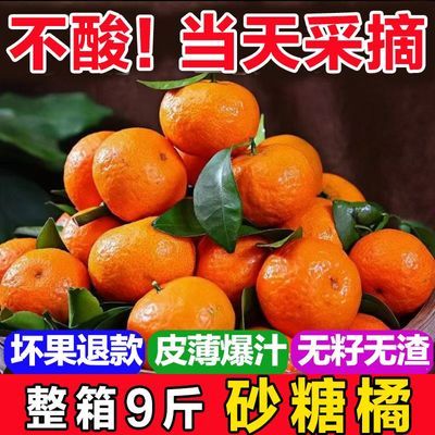 正宗金秋砂糖橘冰糖小蜜橘沙糖桔子薄皮无籽应季新鲜水果整箱包邮