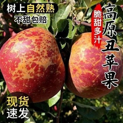 冰糖云南苹果正宗红富士新鲜应季心丑水果当季整箱批发脆甜孕妇