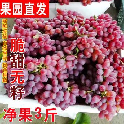 新疆小蜜蜂无籽红提克伦生红宝石葡萄新鲜脆甜无核孕妇水果整箱