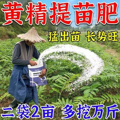 黄精提苗剂【三天变样】提苗生根预防死棵根腐生根壮苗促芽提产量