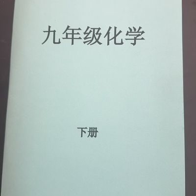 九年级化学下学期