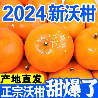 【65mm大果】正宗广西武鸣沃柑薄皮爆甜整箱新鲜批发柑橘子果