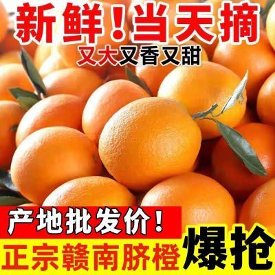 【补贴冲量】赣南脐橙10斤江西橙子新鲜当季儿童孕妈水果5斤直