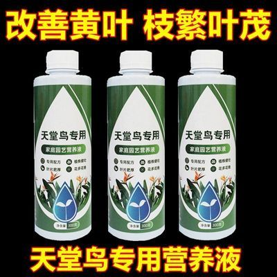 天堂鸟专用营养液肥料家用盆栽黄叶液体卷边开裂绿植通用型植物