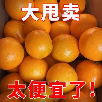 正宗麻阳冰糖橙甜蜜果冻橙当季新鲜水果超甜小橙子手剥甜脐橙桔子