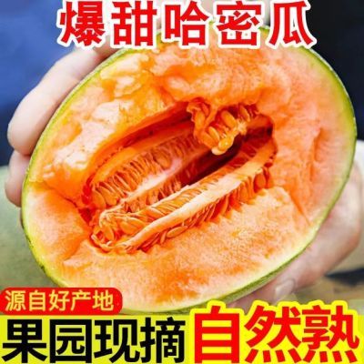 正宗海南哈密瓜新鲜当季现摘水果蜜瓜整箱西州25哈密瓜多汁甜瓜