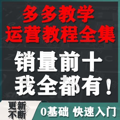 2024年多多开店运营教程陪跑培训新手零基础学习1对1指导爆