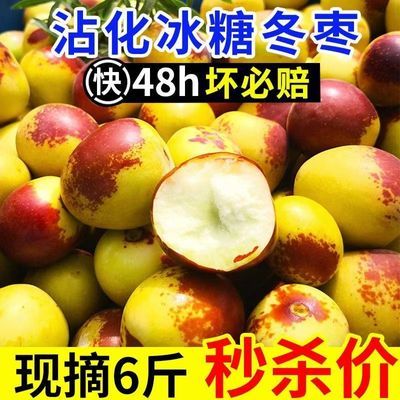 【沾化冬枣】精品大果一整箱包邮产地直发