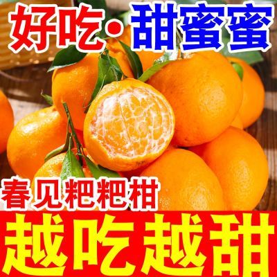 【店长补帖】四川丑橘耙耙柑正宗春见粑粑柑橘子新鲜应季水果桔子