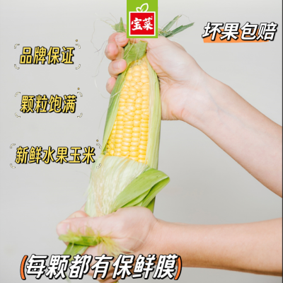 【宝菜】新鲜现摘水果玉米棒黄甜带皮苞米4.5斤装整箱包邮批发