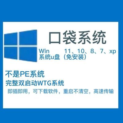 [口袋系统]Win系统USB3.0U盘,插电脑即用(M芯片除外)usb全新