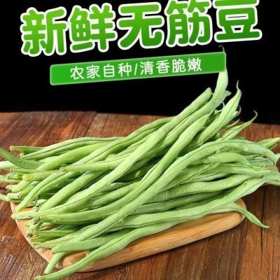 无筋豆架豆王新鲜四季豆批发架豆王无茎芸豆青豆扁豆批发农家种植