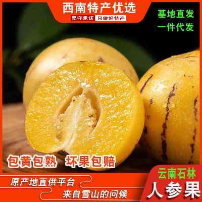 正宗石林树上熟人参果圆果新鲜黄心应季孕妇水果应季水果正品包邮优惠商品图片