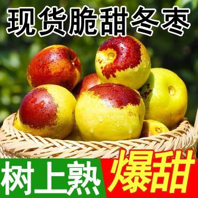 【更脆甜】山东沾化冬枣大果超甜脆甜应季新鲜现摘水果冬枣整箱