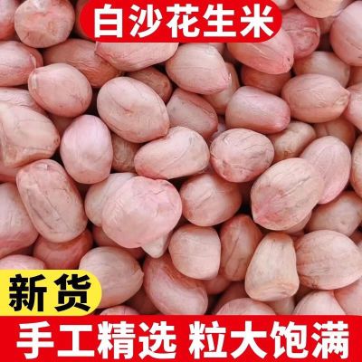 2024年现剥新花生米新货白皮白沙花生米商用批发生花生米新鲜