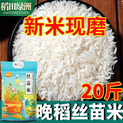 ڲ˿20ﳤè˿е1023.1Ԫ