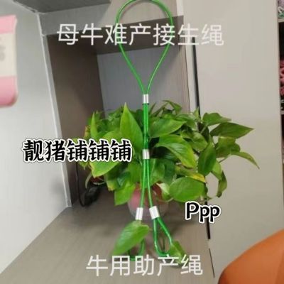 牛用助产母牛接生绳牛用套脖助产手拉绳牛用难产绳兽用助产拉绳