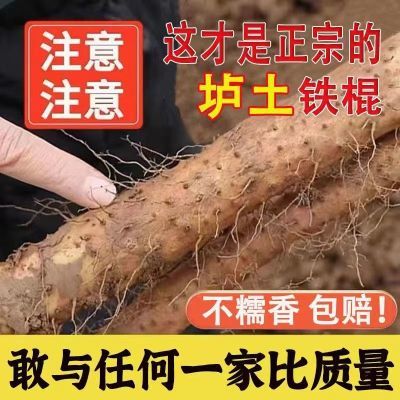 温县垆土铁棍山药正宗河南焦作新鲜生铁杆怀山淮山药特产淮山药