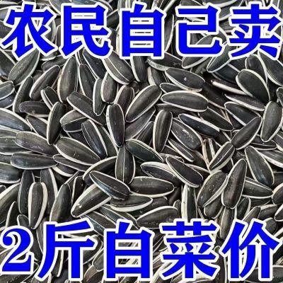 特价原味瓜子内蒙古新货现炒葵花子生熟原味瓜子大颗粒散装葵花籽