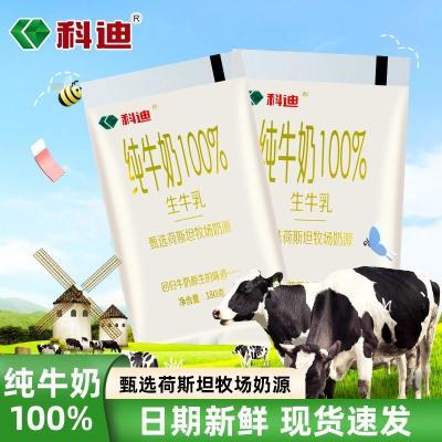 科迪 纯牛奶金标小白袋100%生牛乳180ml学生早餐牛奶-