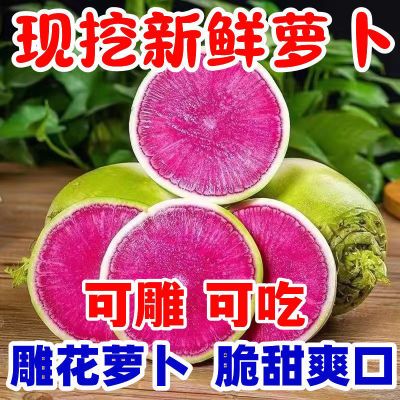 正宗东北冰糖红心水果萝卜新鲜现拔蔬菜绿皮心里美泡菜雕刻批发