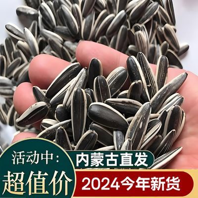 2024瓜子葵花籽新货新鲜内蒙古批发炒熟颗粒炒货原味散装零食