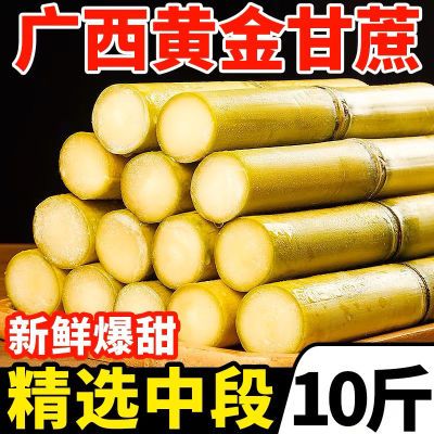 【精品】正宗广西黄金甘蔗黄皮中段新鲜多汁超甜薄皮整箱批发爆汁