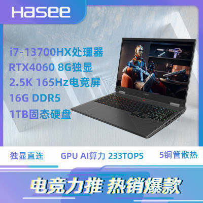 ڲսT8 Pro13i7ϷʼǱi7-13700HX RTX4060 2.5K6199Ԫ