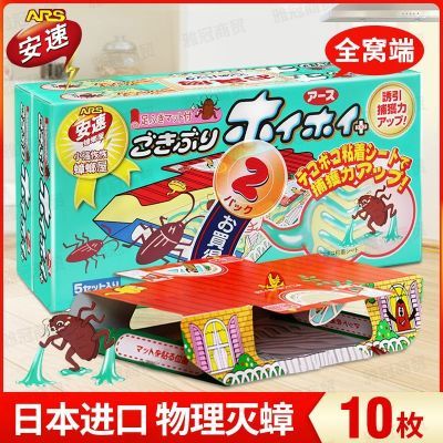 ���� ����� ��벶׽�� 10ö �ձ����� ����ȫ�Ѷ� 26.07Ԫ
