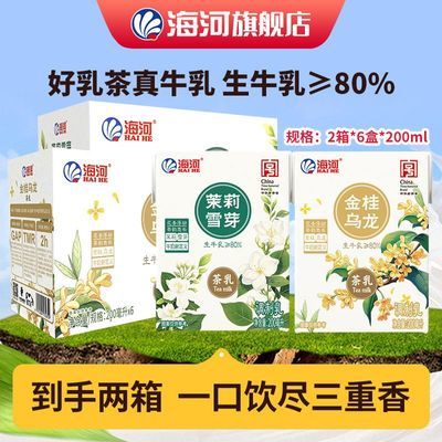 天津海河牛奶200ml*6盒箱金桂乌龙茉莉雪芽茶乳早餐奶礼盒