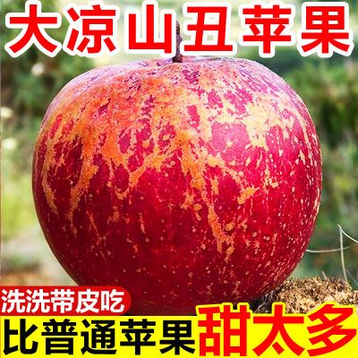 【冰糖心丑苹果】正宗大凉山丑苹果甜脆应季新鲜富士苹果水果批发