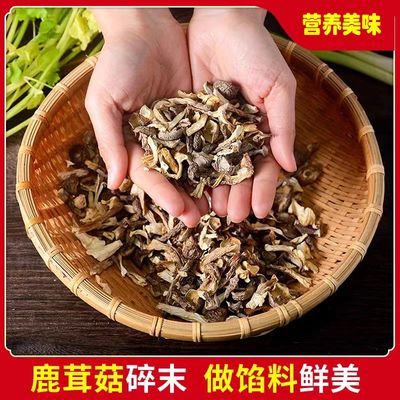 【无干燥剂净重】鹿茸菇碎片500g 包子饺子馅料新鲜鹿茸菌煲