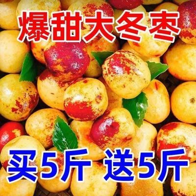 【大冬枣】山东正宗沾化冬枣脆甜应季新鲜水果现摘青枣大枣子批发