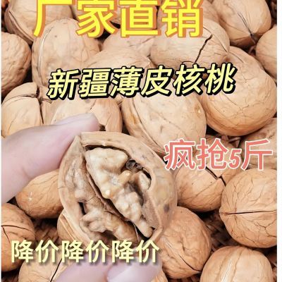 24新货新疆核桃185薄皮核桃薄壳肉厚颗大好吃2024新疆纸