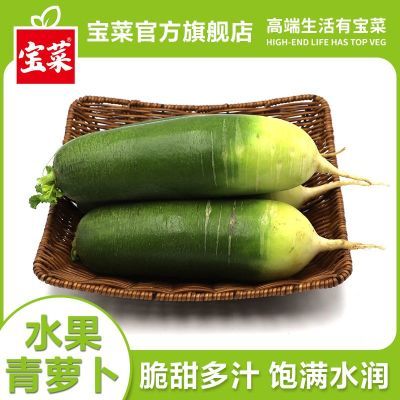 【宝菜】正宗水果萝卜潍坊甜脆水果型青萝卜5斤新鲜蔬菜产地直发