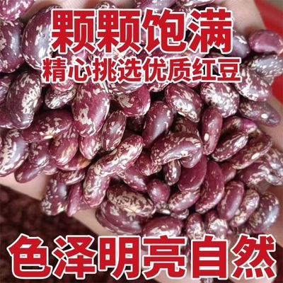 2026年贵州本地花云豆四季豆米酸菜美味贵州四季豆新鲜