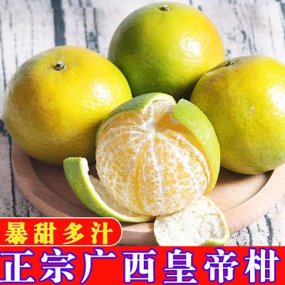 【现货】正宗皇帝柑 广西武鸣贡柑新鲜现摘当季水果 柑橘皮薄肉厚