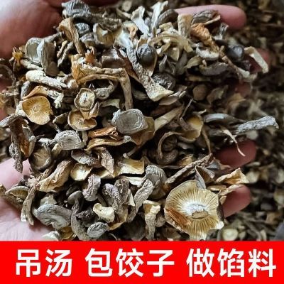 【新货无干燥剂】鹿茸菇碎片500g 脆脆菇无熏硫包饺子煲汤食