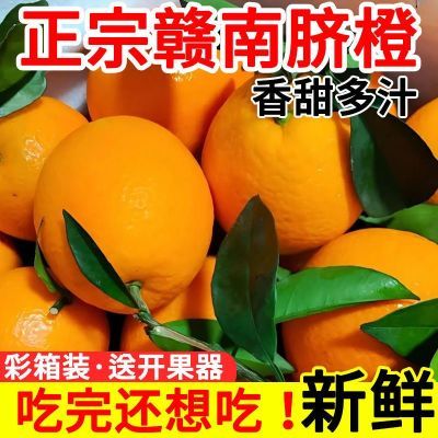 【今日补贴】正宗赣南脐橙整箱批发薄皮橙子水果新鲜水果10斤【