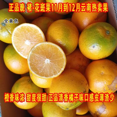 正宗褚-花斑橙花皮云南玉溪哀牢山冰糖橙直发老农民鲜橙新品果